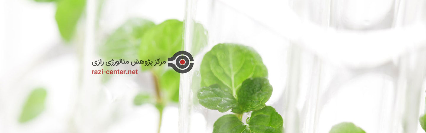 آزمایشگاه شیمی و محیط زیست